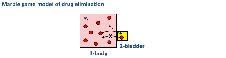 Marble game model of drug elimination