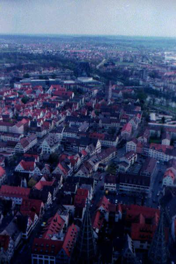 Ulmcathview3