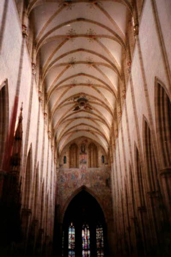 Ulmnave2