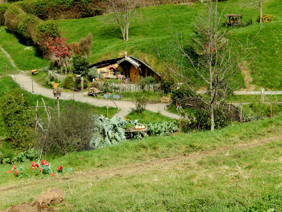 hobbiton39